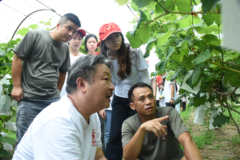 1677044625567038598.png 图片1.png