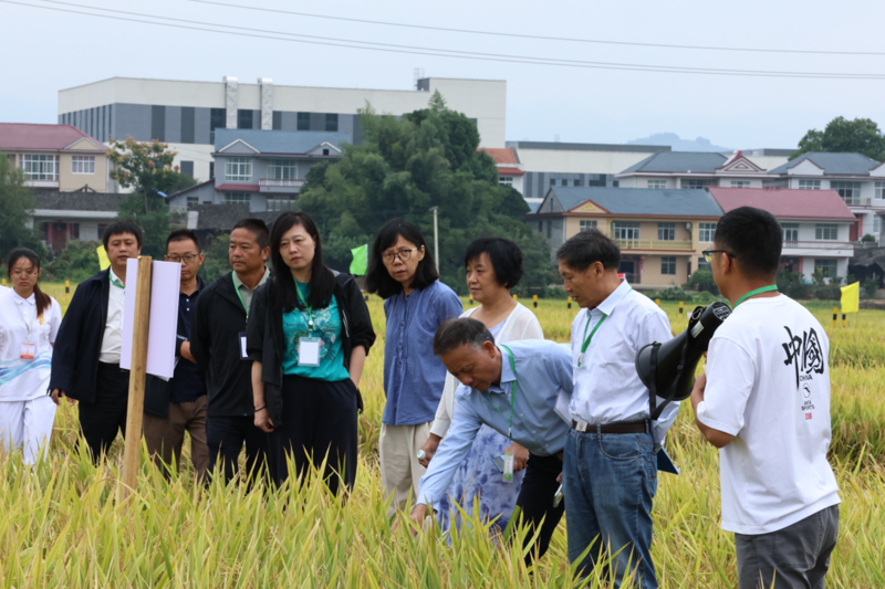 1758784166935082142.png 图片2.png